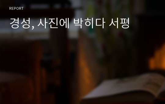 경성, 사진에 박히다 서평