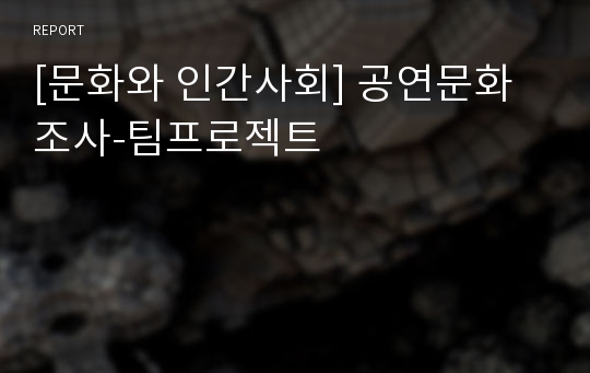 [문화와 인간사회] 공연문화 조사-팀프로젝트