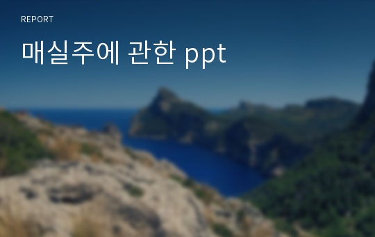 매실주에 관한 ppt