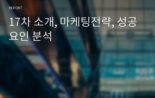 17차 소개, 마케팅전략, 성공요인 분석