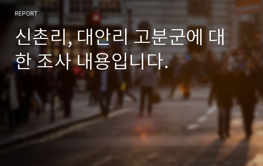 신촌리, 대안리 고분군에 대한 조사 내용입니다.