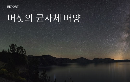 버섯의 균사체 배양