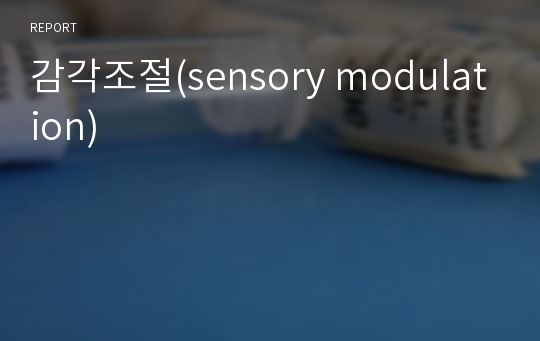 감각조절(sensory modulation)