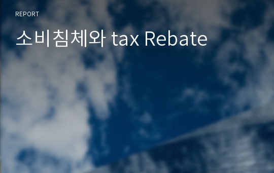 소비침체와 tax Rebate