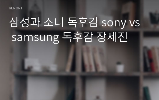 삼성과 소니 독후감 sony vs samsung 독후감 장세진