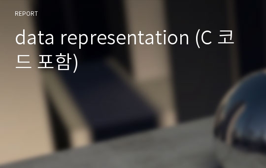 data representation (C 코드 포함)