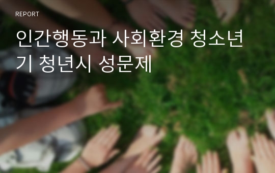 인간행동과 사회환경 청소년기 청년시 성문제