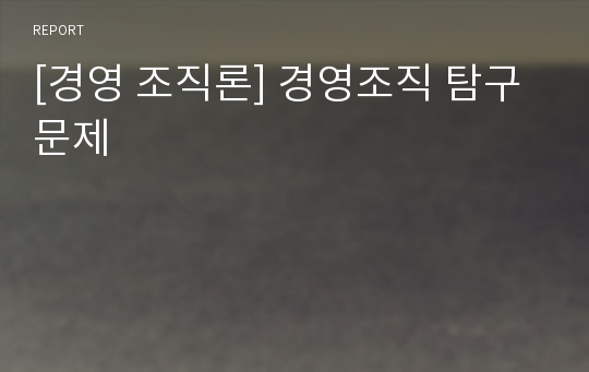 [경영 조직론] 경영조직 탐구문제