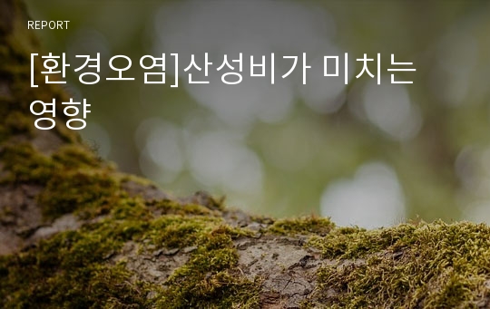 [환경오염]산성비가 미치는 영향