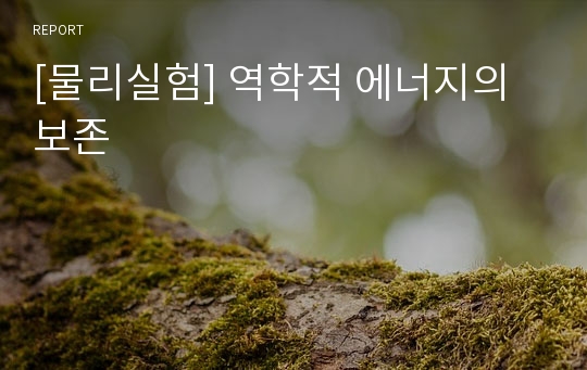 [물리실험] 역학적 에너지의 보존