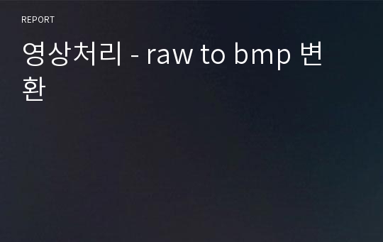 영상처리 - raw to bmp 변환