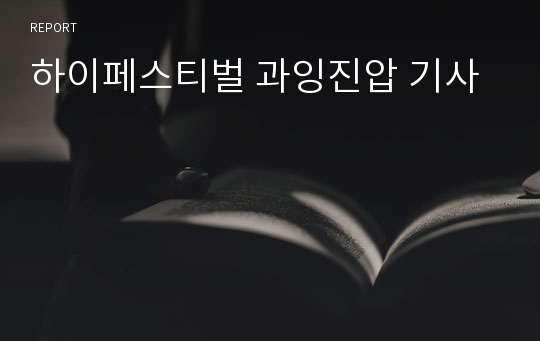 하이페스티벌 과잉진압 기사