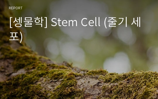 [셍물학] Stem Cell (줄기 세포)