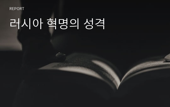 러시아 혁명의 성격