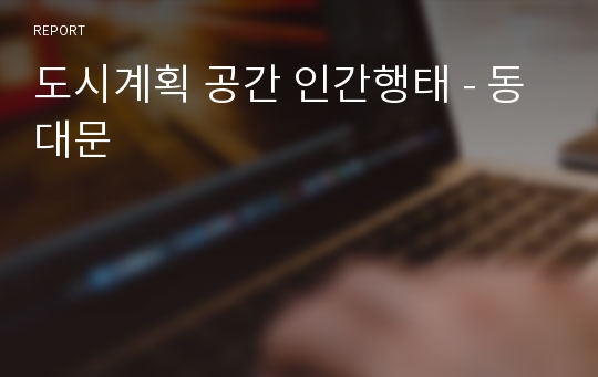 도시계획 공간 인간행태 - 동대문