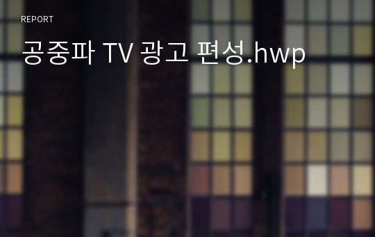 공중파 TV 광고 편성.hwp