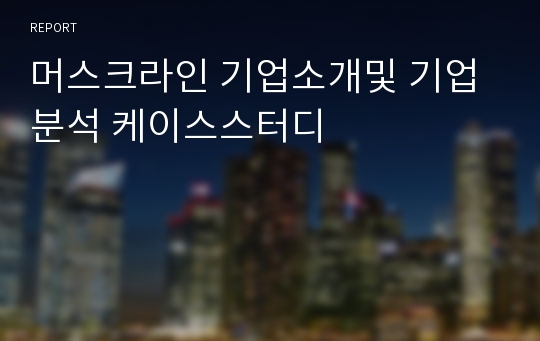 머스크라인 기업소개및 기업분석 케이스스터디