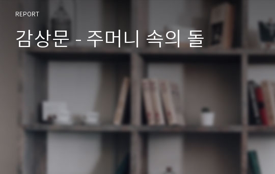 감상문 - 주머니 속의 돌