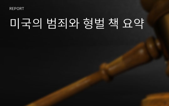 미국의 범죄와 형벌 책 요약