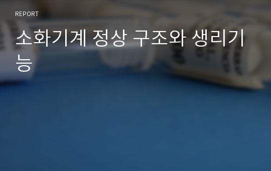 소화기계 정상 구조와 생리기능