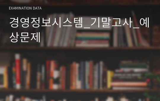 경영정보시스템_기말고사_예상문제