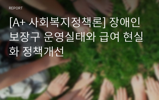 [A+ 사회복지정책론] 장애인보장구 운영실태와 급여 현실화 정책개선