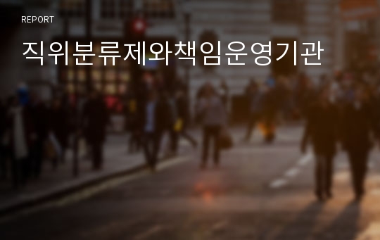 직위분류제와책임운영기관