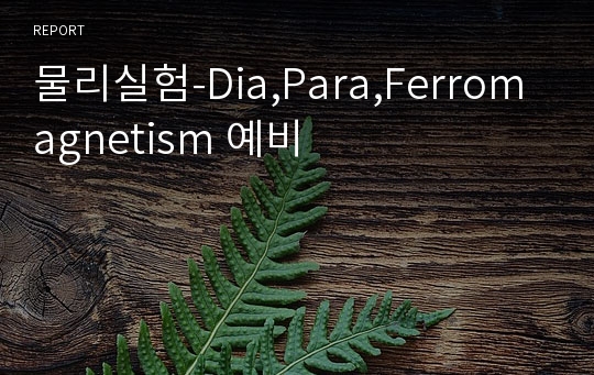 물리실험-Dia,Para,Ferromagnetism 예비