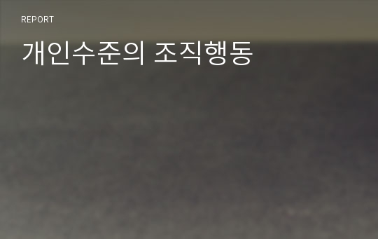 개인수준의 조직행동