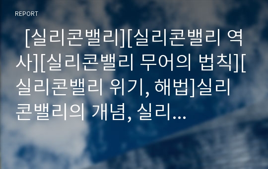   [실리콘밸리][실리콘밸리 역사][실리콘밸리 무어의 법칙][실리콘밸리 위기, 해법]실리콘밸리의 개념, 실리콘밸리의 역사, 실리콘밸리 무어의 법칙, 실리콘밸리의 기업, 실리콘밸리의 위기, 해법, 실리콘밸리 시사점