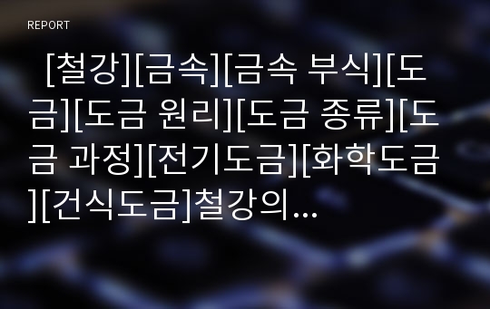   [철강][금속][금속 부식][도금][도금 원리][도금 종류][도금 과정][전기도금][화학도금][건식도금]철강의 활용과 금속의 부식, 도금의 원리, 도금의 종류, 도금의 과정, 전기도금, 화학도금, 건식도금 분석