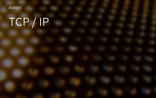 TCP / IP