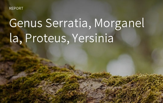 Genus Serratia, Morganella, Proteus, Yersinia