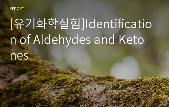 [유기화학실험]Identification of Aldehydes and Ketones