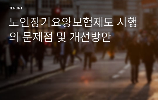 노인장기요양보험제도 시행의 문제점 및 개선방안