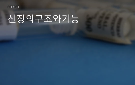 신장의구조와기능