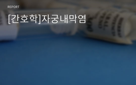 [간호학]자궁내막염