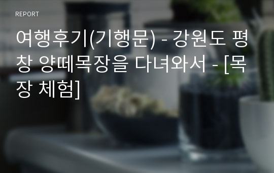 여행후기(기행문) - 강원도 평창 양떼목장을 다녀와서 - [목장 체험]