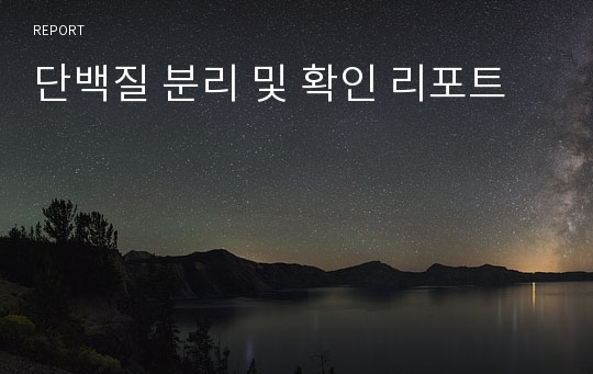 단백질 분리 및 확인 리포트