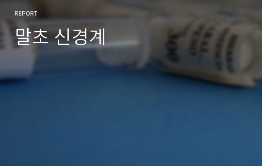 말초 신경계