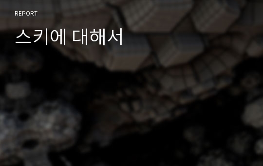 스키에 대해서