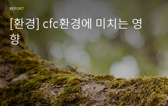 [환경] cfc환경에 미치는 영향