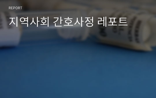 지역사회 간호사정 레포트