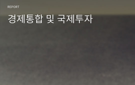 경제통합 및 국제투자