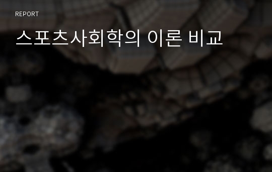 스포츠사회학의 이론 비교