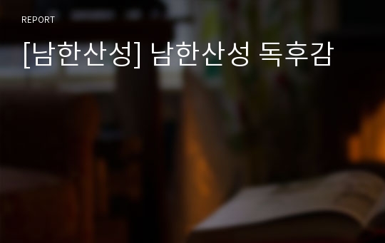 [남한산성] 남한산성 독후감