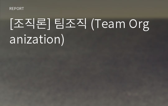 [조직론] 팀조직 (Team Organization)