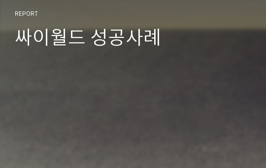 싸이월드 성공사례