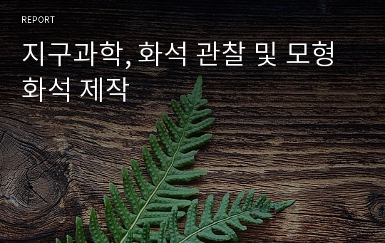 지구과학, 화석 관찰 및 모형 화석 제작