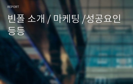 빈폴 소개 / 마케팅 /성공요인등등